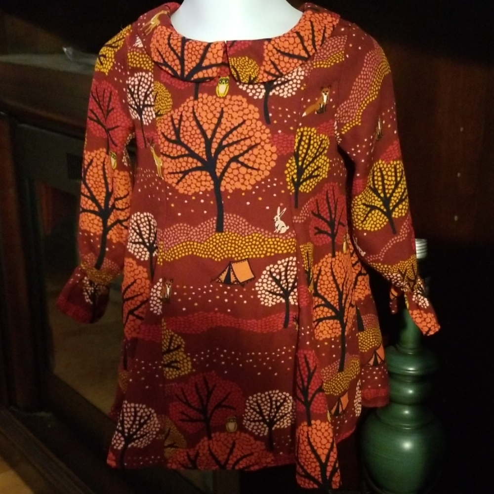 Pretty Fall Dress EUC OshKosh Dress